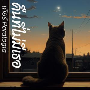 คืนที่ไม่มีเธอ