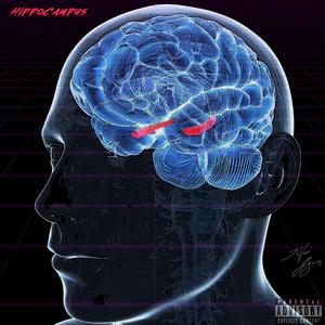 Thalamus