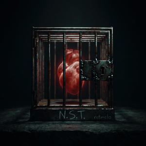 N.S.T.
