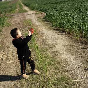 海虞幼儿园儿歌