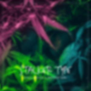 Stalker Type (feat. Nefertari)