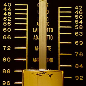 月が綺麗じゃない