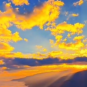 海棠无住花逍遥又自在