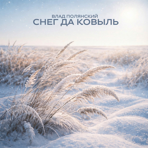 Снег да ковыль