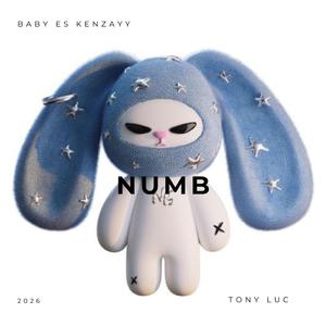 Numb