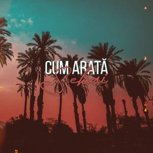 CUM ARATA