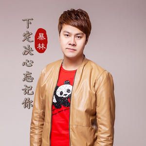 下定决心忘记你 (私藏版)