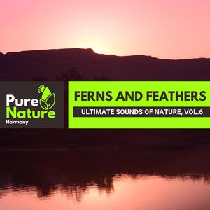 Tea at the Steady Campfire