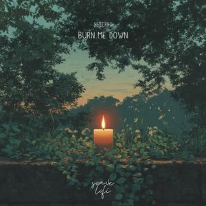 Burn Me Down