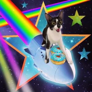 white girls party to my musik