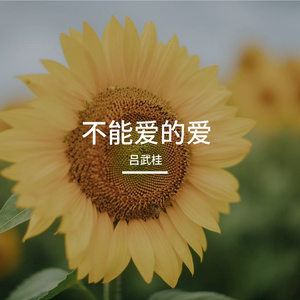 不能爱的爱
