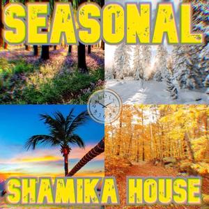 Seasonal (Remix)