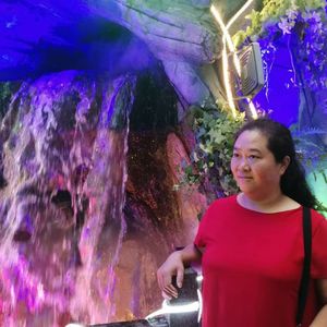 爱你犹如灯蛾扑火 伴奏