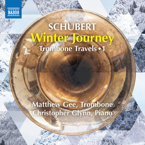 Winterreise, Op. 89, D. 911 (arr. M. Gee for trombone and piano):No. 23. Die Nebensonnen (Three Suns)