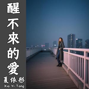 醒不來的愛（伴奏）