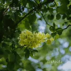 你本来就很美（专属版）