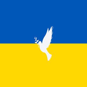Тероборона