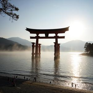 A Cup of Sake in Niigata