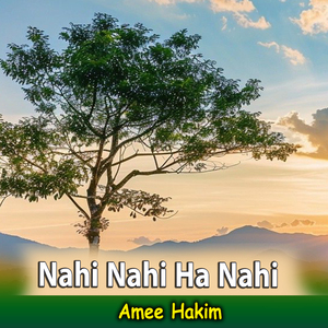 Nahi Nahi Ha Nahi