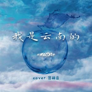 我是云南的（cover 宫赫音NHz）