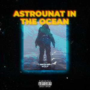 Astrounaut In The Ocean (Sistem Remix)