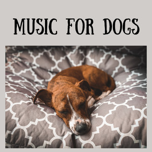 Music For Dogs