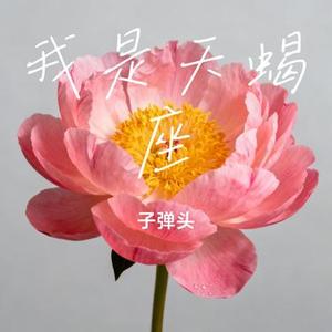 我是天蝎座 (Remix)