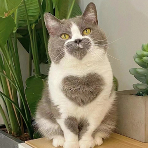 你有一条未读消息