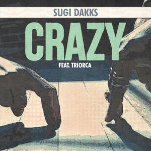 Crazy (feat. Triorca)