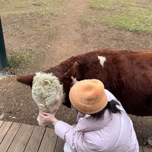 没有温度的太阳（正式版）