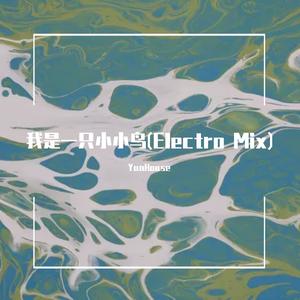 我是一只小小鸟(Electro Mix)
