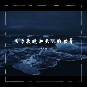 关于夜晚和失眠的世界