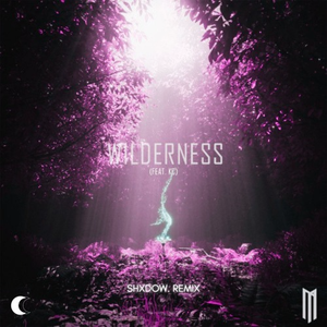 Wilderness (feat. KC) (shXdow. Remix)