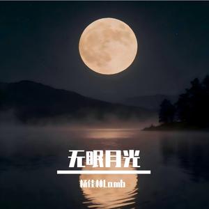 无眠月光