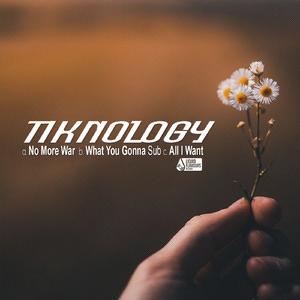 What You Gonna Sub (Original Mix)