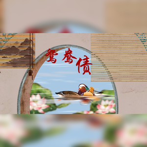 【精分一人二役】鸳鸯债（少年rapper×少女戏腔）