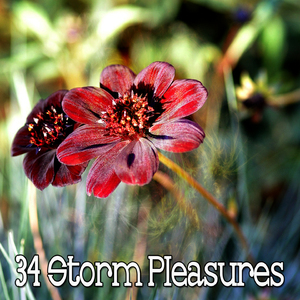 清新宁静的风暴