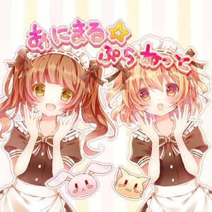 にゃんこ☆ぱらだいす