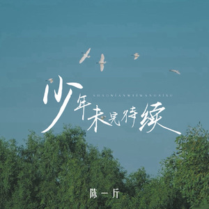 少年未完待续