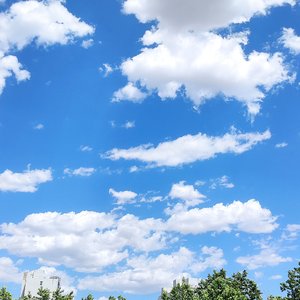 你庆幸摆脱时我在挑礼物