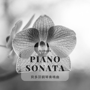 降E大調第26號鋼琴奏鳴曲 作品81a 告別 第三樂章