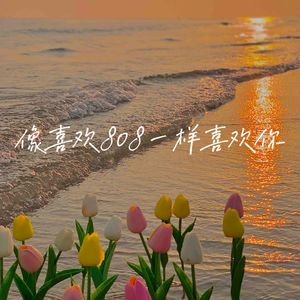 像喜欢808一样喜欢你