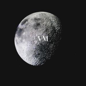 VM-SI-1