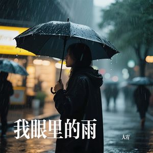 我眼里的雨