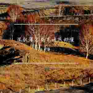 深秋薄念花不语风却懂