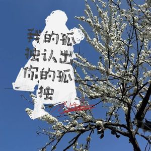 我的孤独认出你的孤独