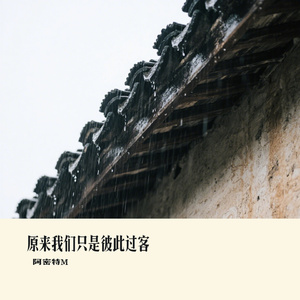 原来我们只是彼此过客