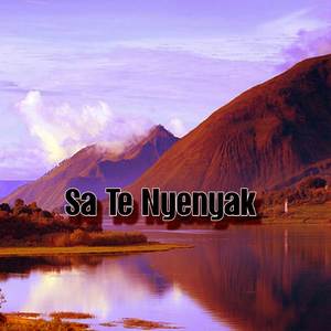 DJ SA TE NYENYAK (INS)