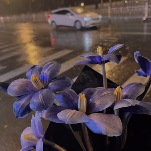 刻在我心底的名字