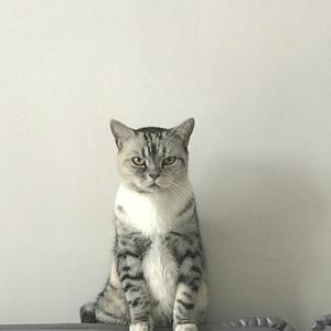 你是人间四月天（剪辑版）